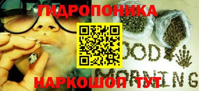 амф Балахна