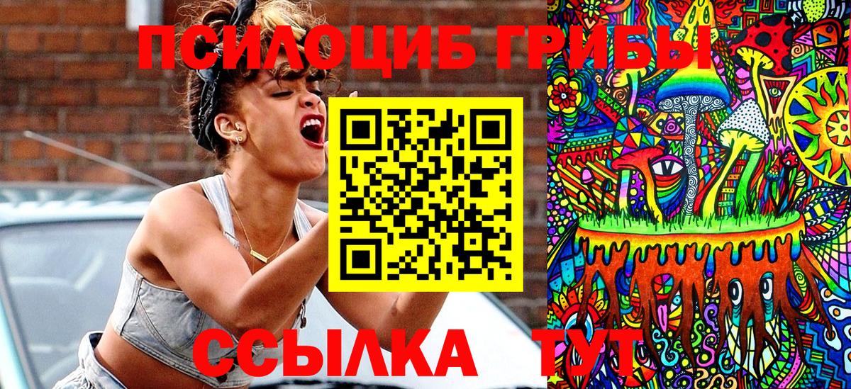 Псилоцибиновые грибы мицелий Апрелевка